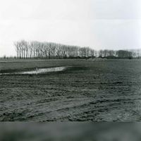 Het gebied waar de buurten de Poorten en de Slagen gebouwd zijn gezien vanuit het zuid-oosten. Links de bomenrij langs de Wulfsedijk en rechts de bomen langs het Groenelaantje/Houtlaantje in ca. 1985. Foto: O.J. Wttewaall. Bron: Regionaal Archief Zuid-Utrecht (RAZU), 353.