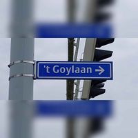 Straatnaambord ''t Goylaan bij de kruising met de Socrateslaan en Jutphaseweg in april 2022. Foto: Sander van Scherpenzeel.
