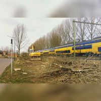 Het rooien van bomen aan de Randhoeve ter voorbereiding van de spoorverdubbeling in Houten in 2005-2006. Bron: Regionaal Archief Zuid-Utrecht (RAZU), 033, 237.