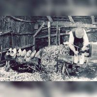 Klompenmaker aan het werk rond 1914. Bron: Wikipedia Klompenmaker.