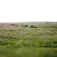 Een Prairie. Bron: Wikipedia prairie.
