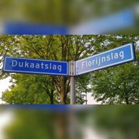 Straatnaamborden Dutkaatslag en Florijnslag, 7 mei 2020. Foto: Sander van Scherpenzeel.