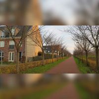 Zicht op het Schonauwensepad met links de huizen aan de Werfmuur 9 (l) en 10 (r) Met erachter de huizen de de Vestingsmuur in november 2020. Foto: Sander van Scherpenzeel.