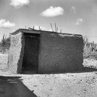 Constructie van magazina di bara: de bepleistering (leem/klei) is droog in Playa Grandi op de Nederlandse Antillen in 1970. Bron; Rijksdienst voor het Cultureel Erfgoed (RCE), beeldbank, documentnummer: 357616.