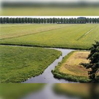De open weilanden om kasteel Schonauwen in de periode 1990-1995 voordat de buurt De Muren en De Stenen gebouwd zouden gaan worden. Bron: Regionaal Archief Zuid-Utrecht (RAZU), 353.