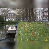 Afbeelding van bloeiende tulpen in het plantsoen langs de Stadsbuitengracht aan de Wittevrouwensingel te Utrecht op donderdag 23 april 2015. Bron: Het Utrechts Archief, catalogusnummer: 827589.