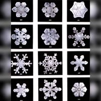 Diverse ijskristallen uitvergroot op een microscoop. Bron: Wikipedia.