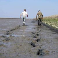 Twee heren die aan wadlopen zijn voor de waddenzeekust in noord Nederland. Bron: Wikipedia.