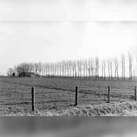Gezicht op de boerderij Het Groen aan de Oud Wulfseweg te Houten, vanaf de Utrechtseweg in februari 1967. Bron: Het Utrechts Archief, catalogusnummer: 839826.