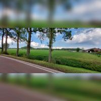De Oud Wulfseweg op het land ten zuiden van boerderij Oud-Wulverbroek in oostelijke richting gezien in september 2022. Foto: Sander van Scherpenzeel.