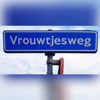 Straatnaambord de Vrouwtjesweg in Stad aan &#039;t Haringvliet in 2019. Foto: Sander van Scherpenzeel.
