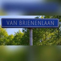 Straatnaambord &#039;Van Brienenlaan&#039; in &#039;s-Gravenhage in 2021. Foto: Sander van Scherpenzeel.