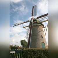 Molen De Korenaar in Stad aan &#039;t Haringvliet. Bron: Wikimedia Commons.