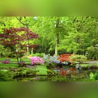 De Japanse tuin in de lente. De Japanse Tuin op landgoed Clingendael in Den Haag. Bron: Wikipedia Steven Lek - Eigen werk.