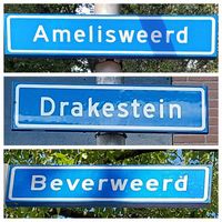 Straatnaamborden 'Amelisweer', 'Drakestein' en 'Beverweerd' in augustus 2023 in de Amersfoortse wijk Schothorst. Foto: Sander van Scherpenzeel.