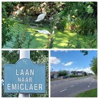Laan naar Emiclaer en de Emiclaerseweg in Amersfoort in augustus 2023. Foto: Sander van Scherpenzeel.