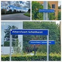 De Zielhorsterweg bij het Amersfoortse Schothorst in augustus 2023. Foto: Sander van Scherpenzeel.