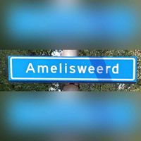 Straatnaambord 'Amelisweerd' in augustus 2023 in de Amersfoortse wijk Schothorst. Foto: Sander van Scherpenzeel.
